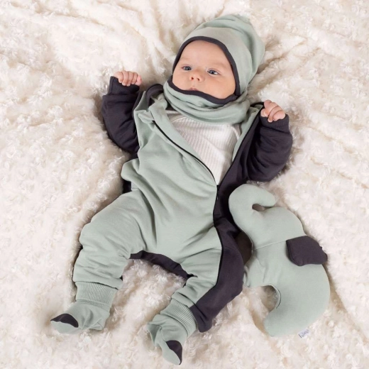 Pasuje do kolekcji OLAF