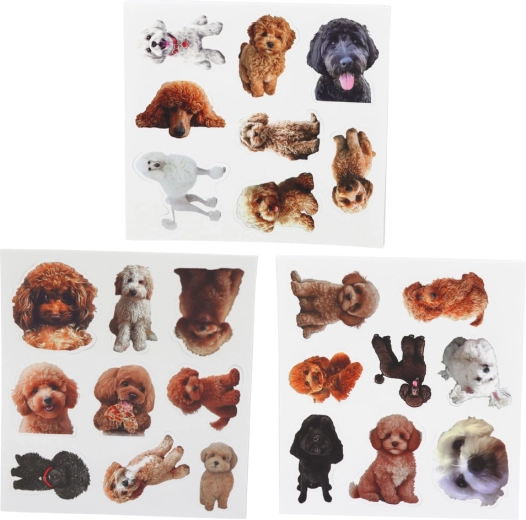 Realistic photo poodle stickers