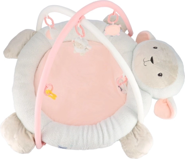 Detachable play arch and toys