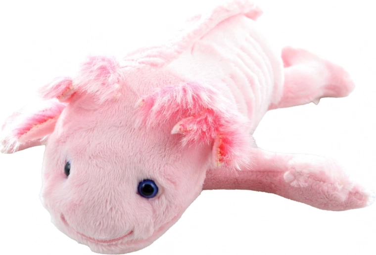 Dettagli adorabili dell’axolotl