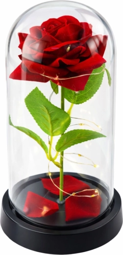 Éclairage LED romantique