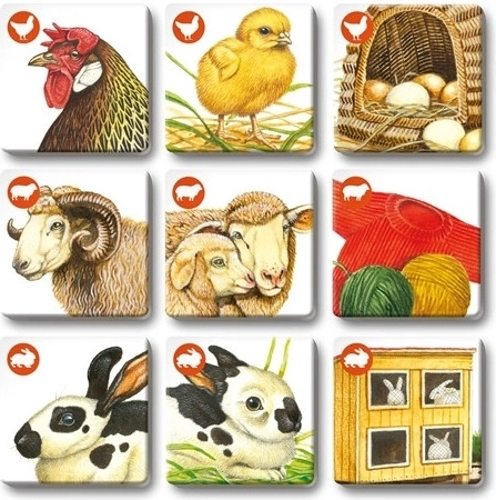 Beautiful illustrations and durable cards