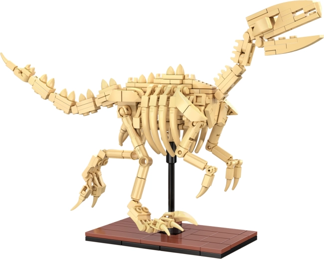 Scheletri luminosi e finitura da esposizione