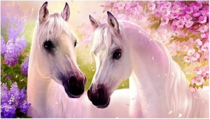 Diamond Painting – Verliebte Pferde 30 × 40 cm NORIMPEX