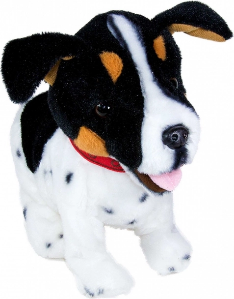 Supports child development