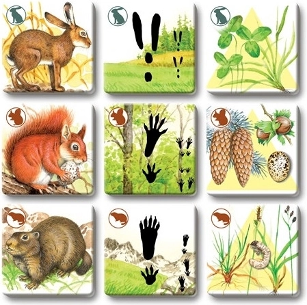 Learn animals, tracks, and habitats in context