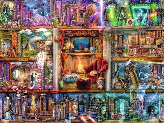 2D puzzle 1500 pieces Rich Library