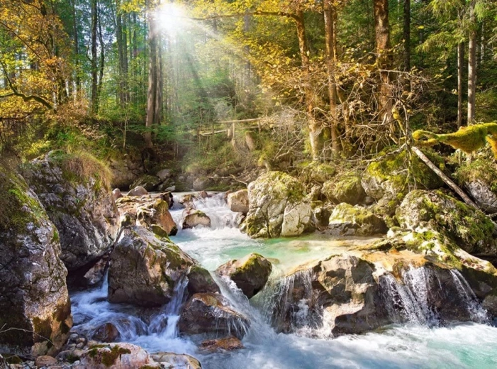 Castorland Forest Stream Puzzle 2000 Pieces