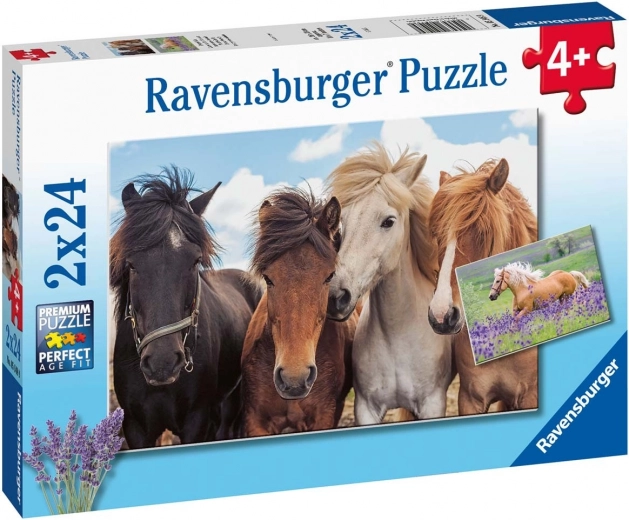 Dva motivy koní v jednom balení