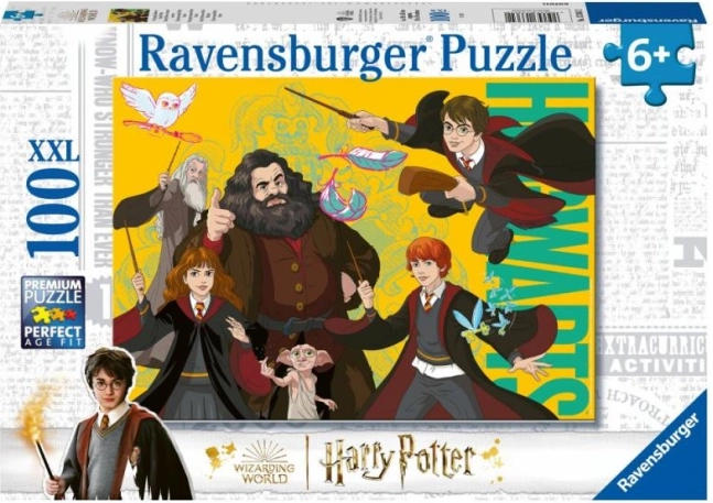 Harry Potter: young wizard puzzle 100 pieces