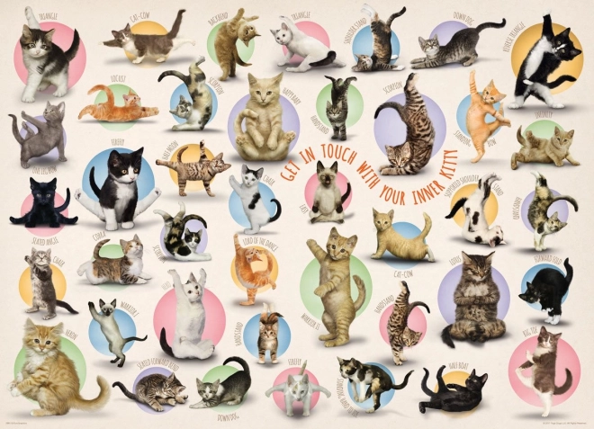 Cat Yoga Puzzle XL 500 Pieces