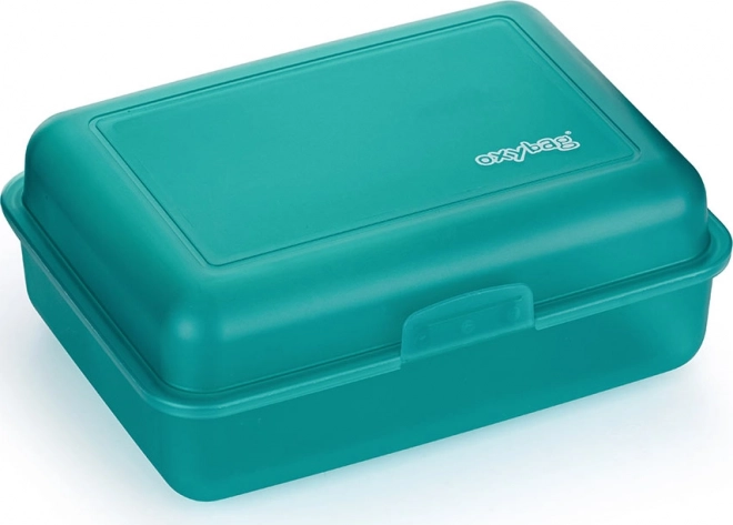Matte Mint Lunch Box
