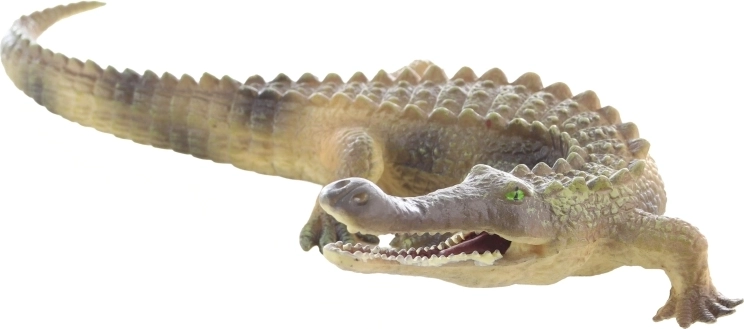 Ideal size for little hands