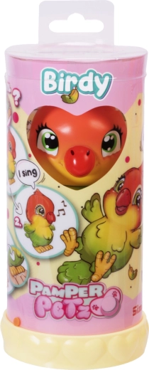 Gift-ready packaging