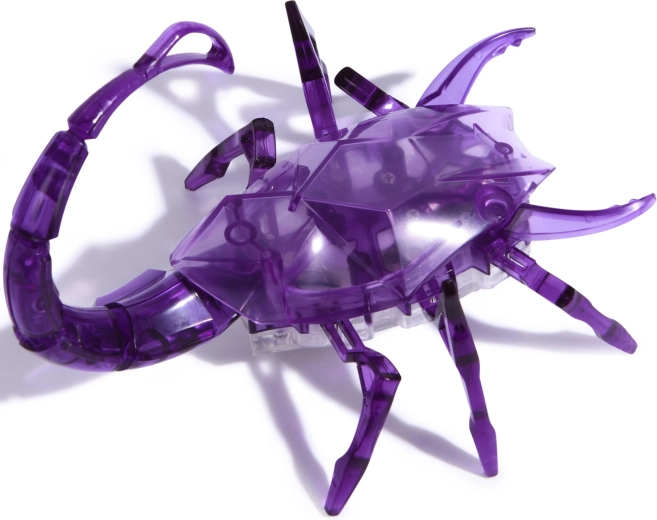 Queue lumineuse pour un spectacle encore plus captivant