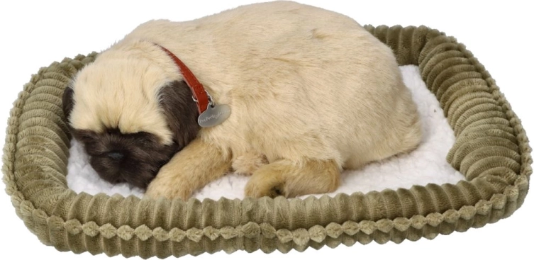 Perfect Petzzz lélegző mopsz kölyökkutya