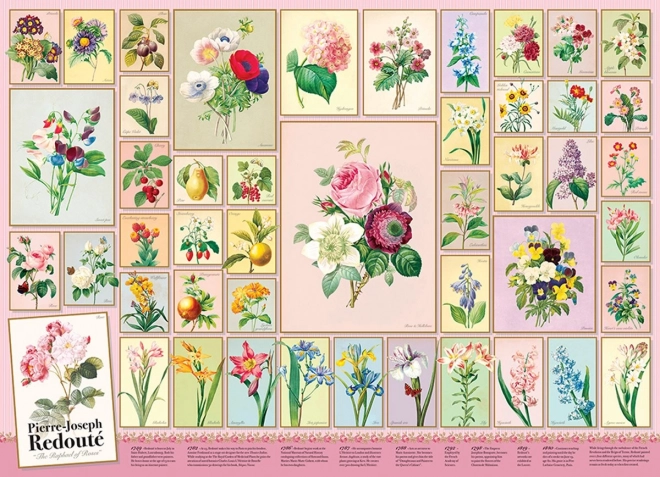 Puzzle Pierre-Joseph Redouté 1000 pieces by Cobble Hill