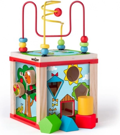 Classificazione delle forme e primi compiti logici