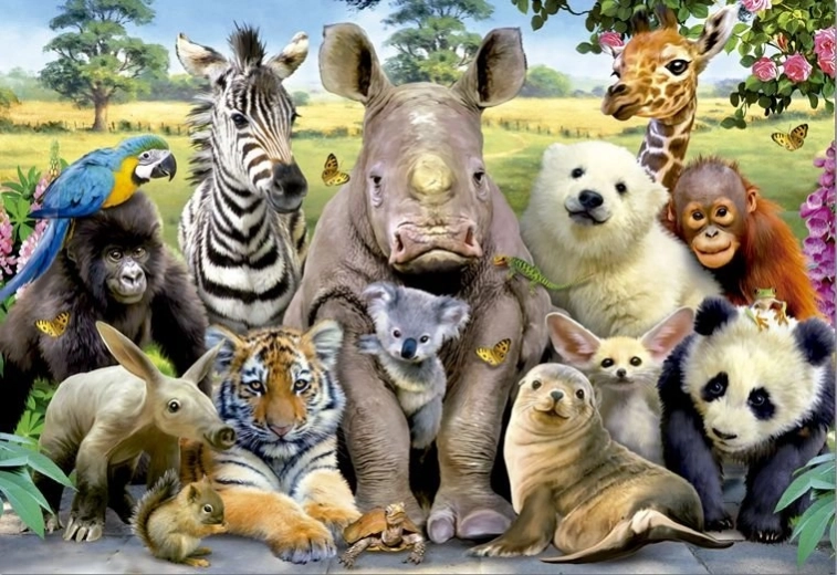 Educa puzzle School Photo 1000 pieces