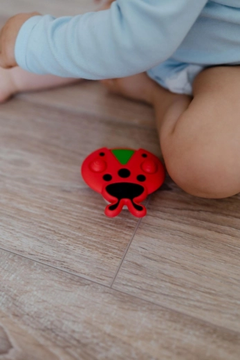 Toč, mačkej, objevuj