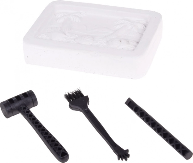 Expérience d’excavation authentique