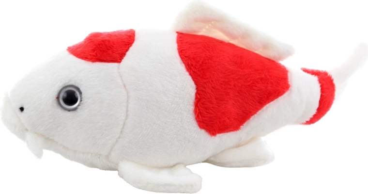 Realistični detajli koi krapa