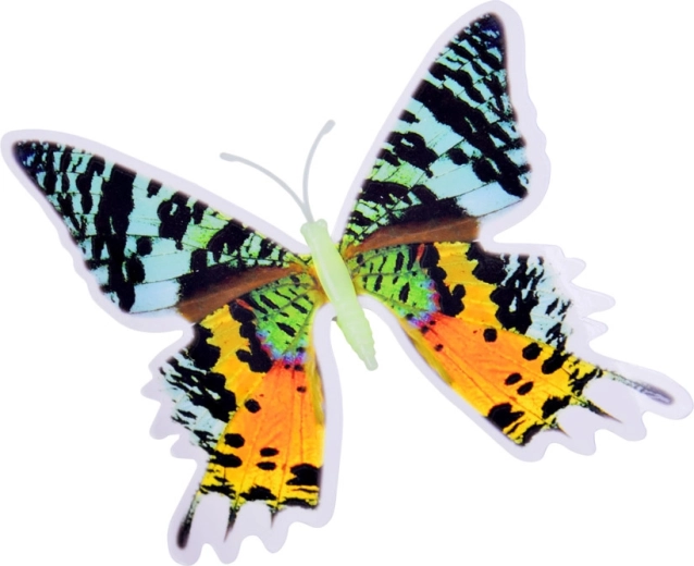 Application facile et disposition modulable