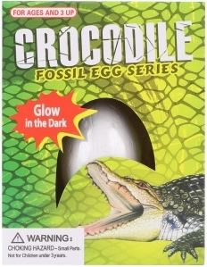 Uitbeitsei met krokodil die in het donker licht