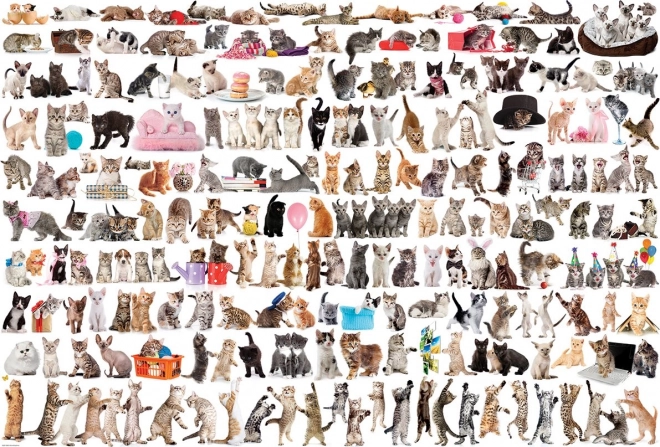 EUROGRAPHICS Puzzle World of Cats – 2000 pieces