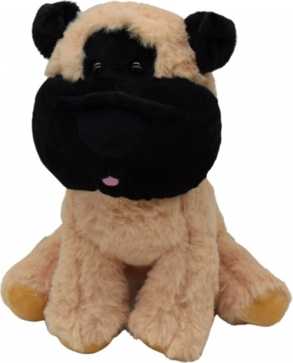 Conception sûre et résistante