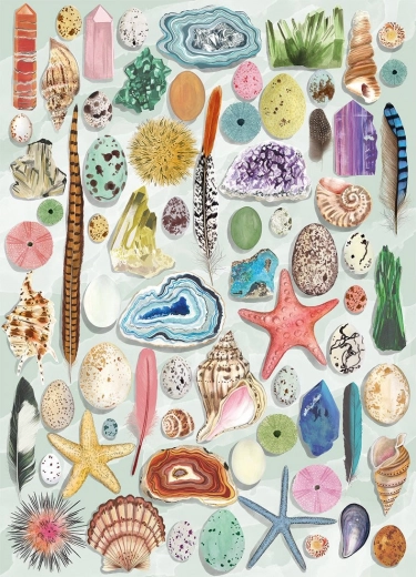 Gibsons Puzzle Natural Curiosities 1000 Pieces