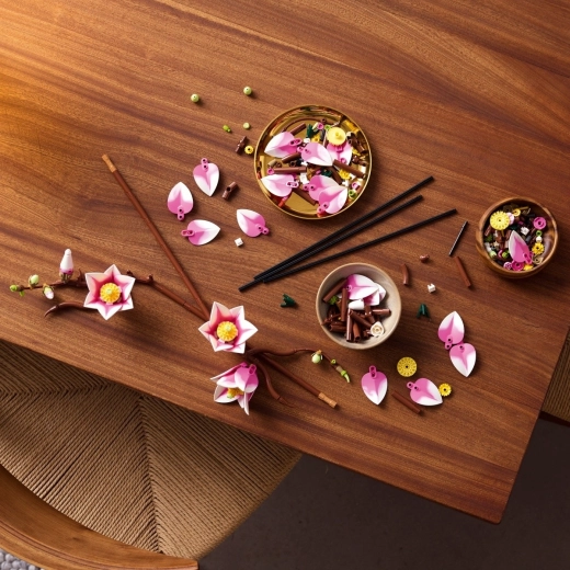 Calming building for adults