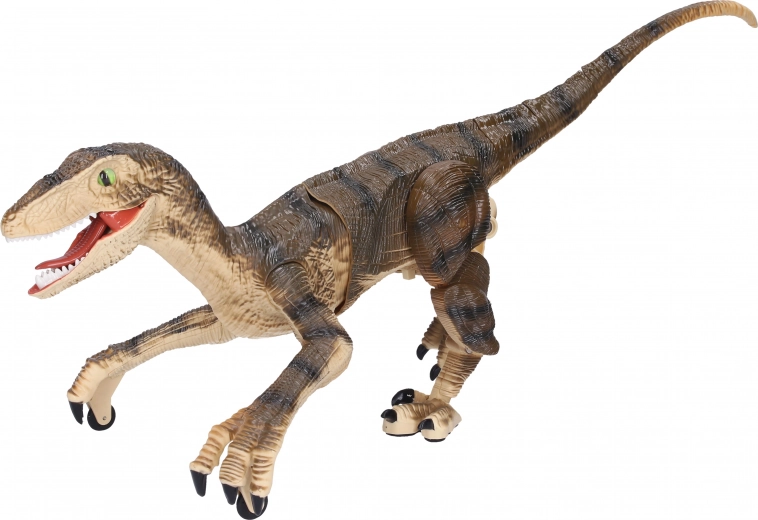 Durable design for everyday play