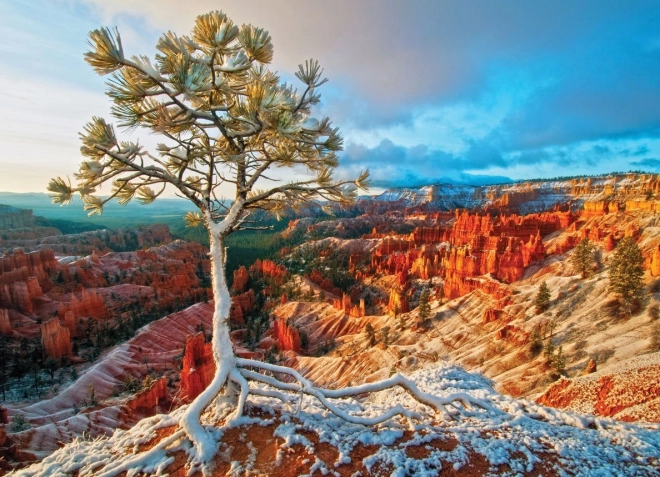 EUROGRAPHICS Puzzle Winter Dawn, Bryce Canyon (1000 pieces)