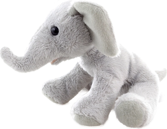 Kompaktna velikost 15 cm