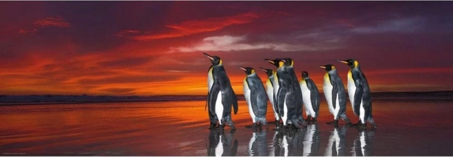 1000-Piece Puzzle – King Penguins