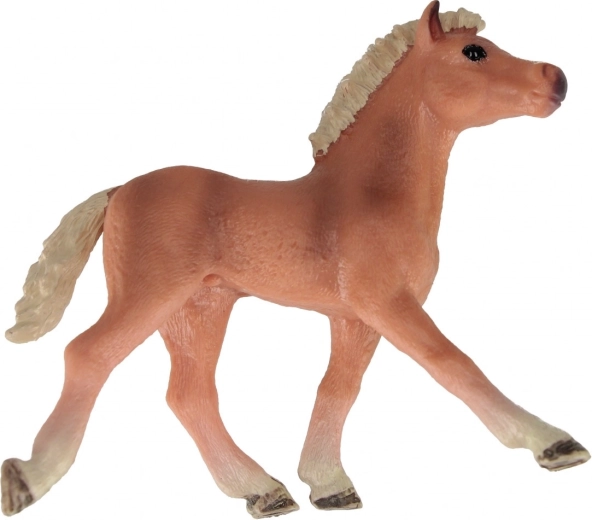 Három vonzó változat