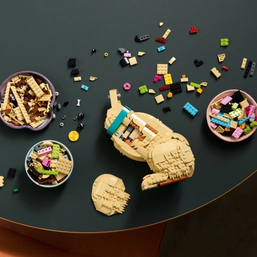 Construction ludique avec guide 3D