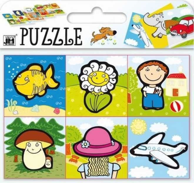 Children’s Puzzle: What Belongs Where? Jiri Models