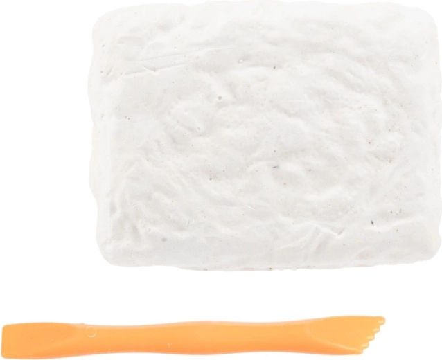 Tutto il necessario nella confezione