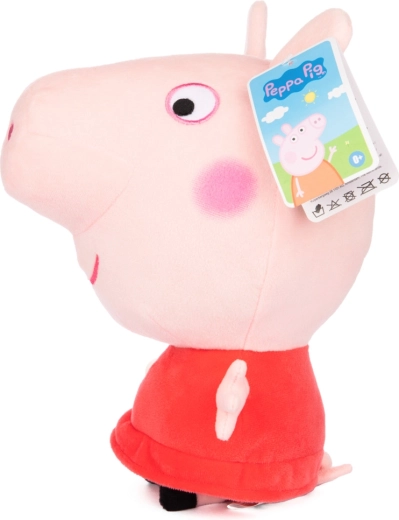 Beloved character from the PEPPA cartoon