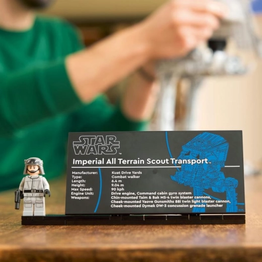 Présentoir de collection avec plaque nominative et minifigurine