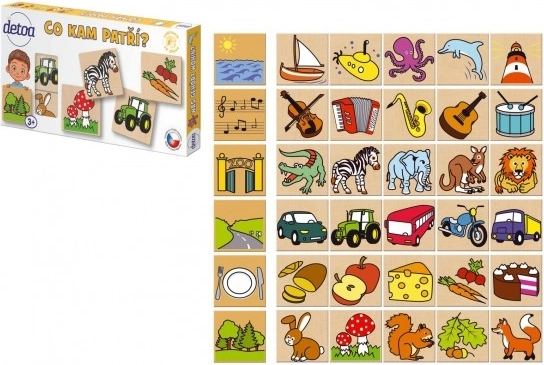 Detoa wooden puzzle Where it goes