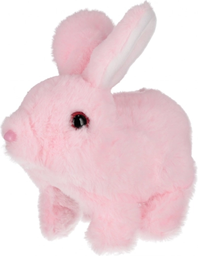 Soft plush that invites cuddles