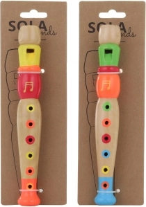 Wooden flute for children