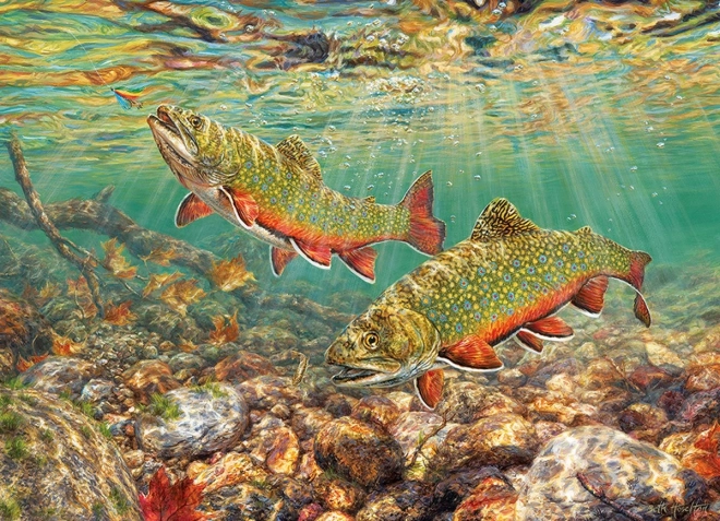 Puzzle Brown Trout 1000 Pieces COBBLE HILL