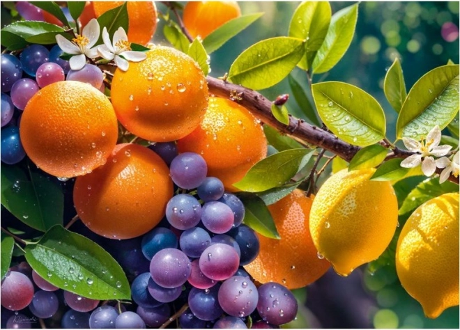 Sunny Fruits Puzzle 1000 pieces