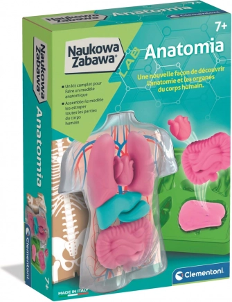 CLEMENTONI anatómiai oktatókészlet
