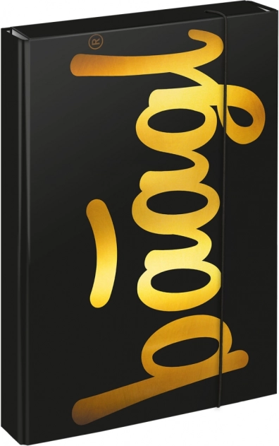 Teczki na zeszyty szkolne A4 Jumbo Gold