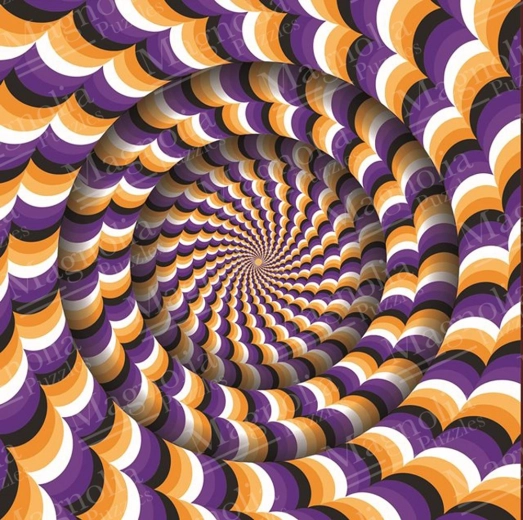 Optical Illusion Puzzle 1023 Pieces MAGNOLIA